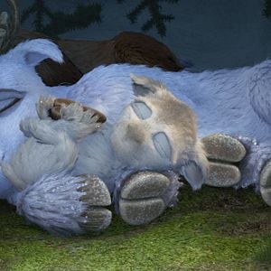 Fotoğraf Niko 2: Küçük Kardeş, Tatlı Bela