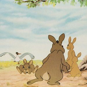 Fotoğraf Watership Down