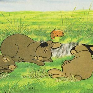 Fotoğraf Watership Down