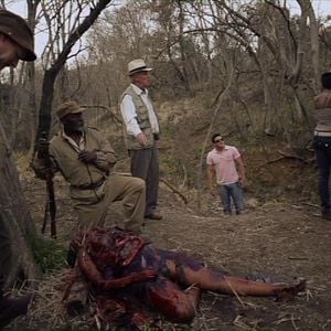 Fotoğraf Night Drive