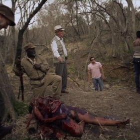 Fotoğraf Night Drive