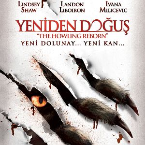 Fotoğraf Yeniden Doğuş