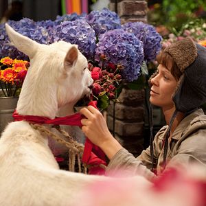 Fotoğraf Jessica Schwarz