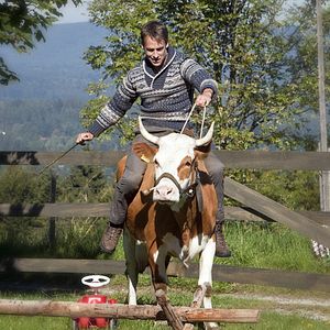 Fotoğraf Für immer Frühling