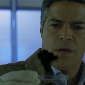 Fotoğraf Seattle Superstorm