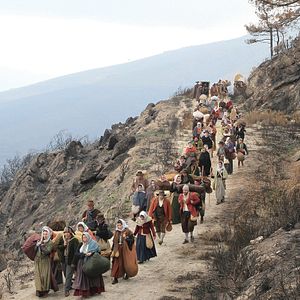 Fotoğraf Wellington Hatları