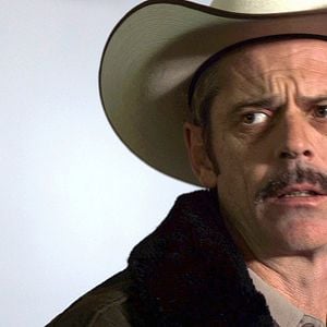 Fotoğraf Camel Spiders