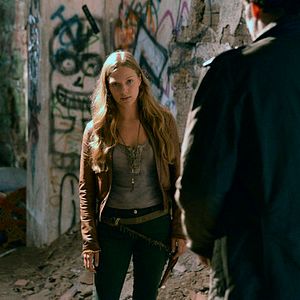 Fotoğraf Tracy Spiridakos