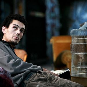 Fotoğraf Stalingrad Lovers