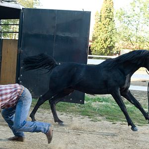 Fotoğraf Flicka: Country Pride