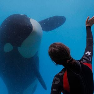 Fotoğraf Pas ve Kemik