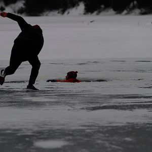 Fotoğraf Pas ve Kemik