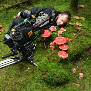 Fotoğraf Das grüne Wunder - Unser Wald