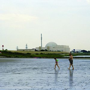 Fotoğraf Das Ding am Deich - Vom Widerstand gegen ein Atomkraftwerk