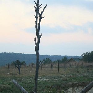 Fotoğraf Çanakkale Çocukları