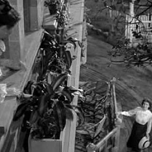 Fotoğraf The Little Foxes