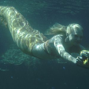 Fotoğraf Cariba Heine