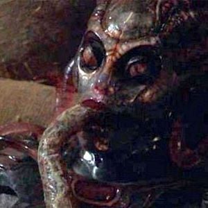 Fotoğraf Tehlikeli Tür 2