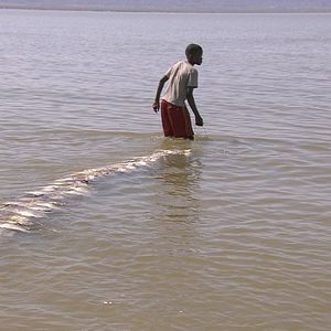 Fotoğraf Süßes Gift