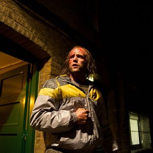 Fotoğraf Hummingbird