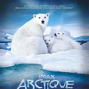 Fotoğraf To the Arctic