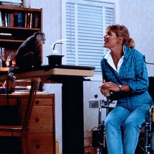 Fotoğraf Kate McNeil