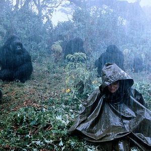 Fotoğraf Gorillas In the Mist : The Story of Dian Fossey