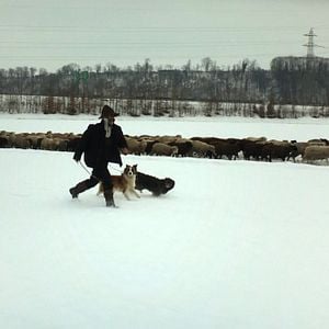 Fotoğraf Hiver nomade