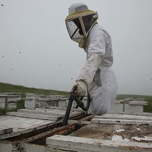 Fotoğraf Baldan Acı