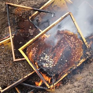 Fotoğraf Baldan Acı