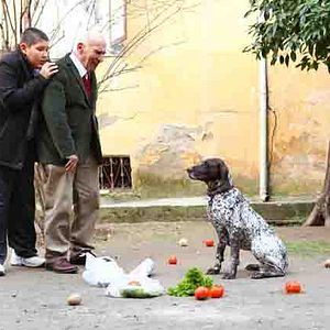 Fotoğraf Mutlu Aile Defteri