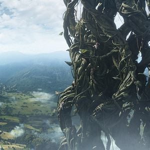 Fotoğraf Dev Avcısı Jack