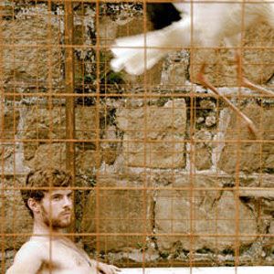 Fotoğraf Le Vol des cigognes