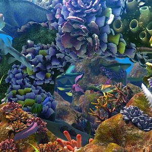 Fotoğraf Cesur Balık 2