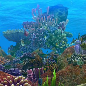 Fotoğraf Cesur Balık 2