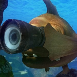 Fotoğraf Cesur Balık 2