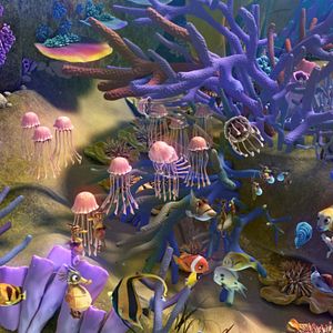 Fotoğraf Cesur Balık 2