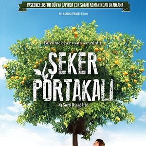 Fotoğraf Şeker Portakalı