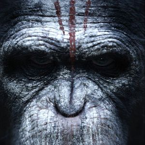 Fotoğraf Maymunlar Cehennemi: Şafak Vakti