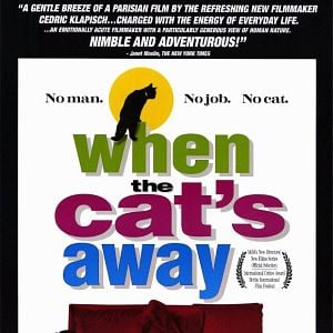 Fotoğraf Herkes Kendi Kedisini Arar