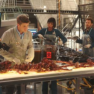 Fotoğraf Tamara Taylor