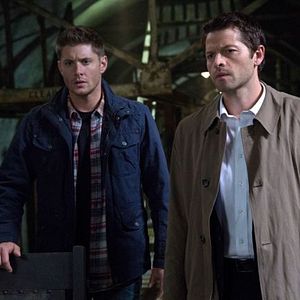 Fotoğraf Misha Collins