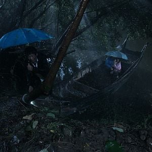 Fotoğraf Sokak Köpekleri