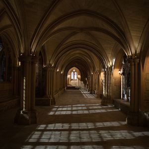 Fotoğraf Vampir Akademisi