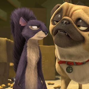 Fotoğraf Fındık İşi