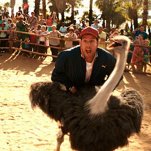 Fotoğraf Karışık Aile