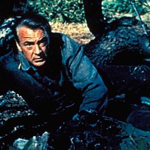 Fotoğraf Beraber Yaşayalım