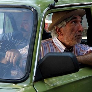 Fotoğraf Sürgün İnek