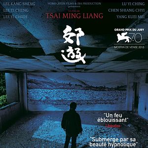 Fotoğraf Sokak Köpekleri