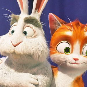 Fotoğraf Büyüler Evi: Sihirbaz Kedi